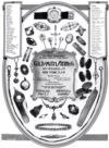 Goldsmith Stern 1917 120.jpg
